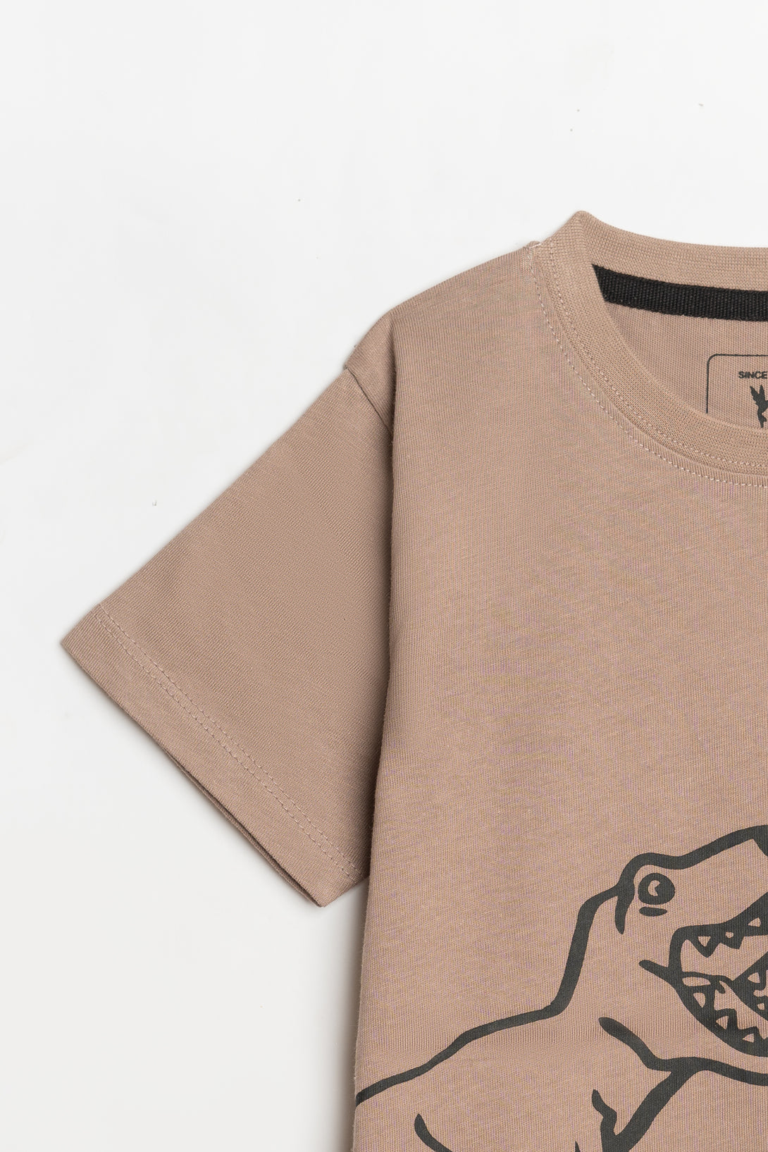 Dino Adventure Brown Graphic Tee for Boys | Libano