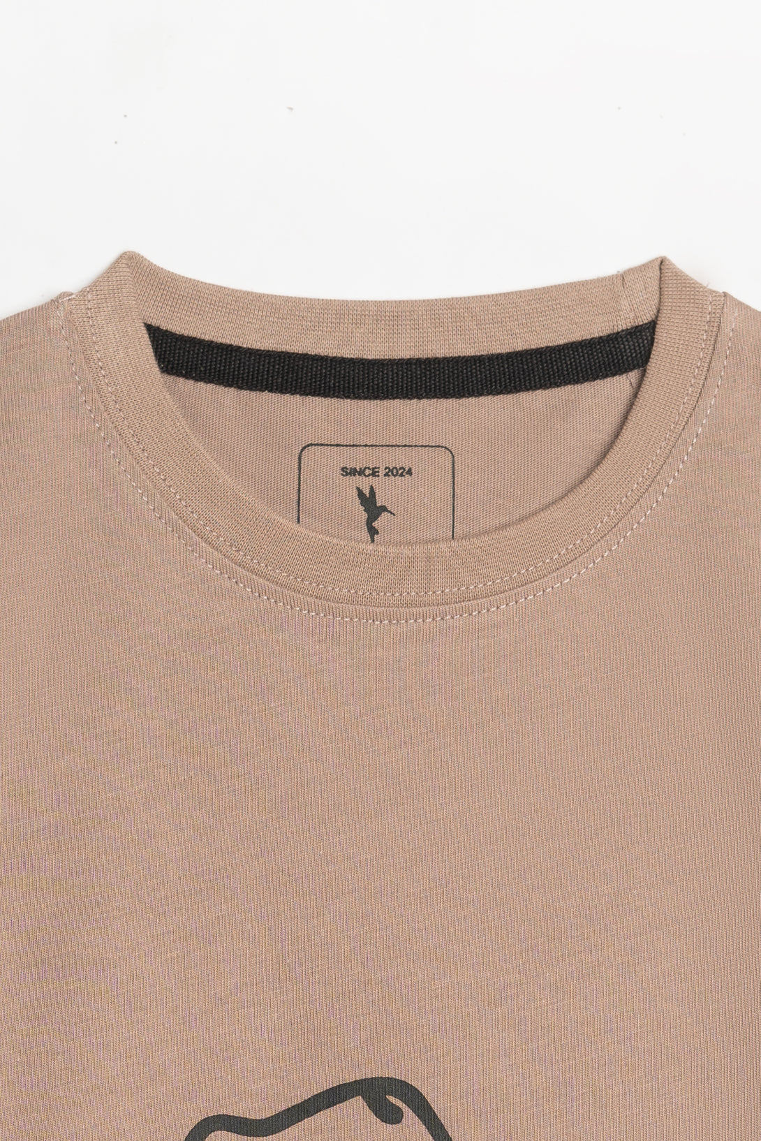 Dino Adventure Brown Graphic Tee for Boys | Libano